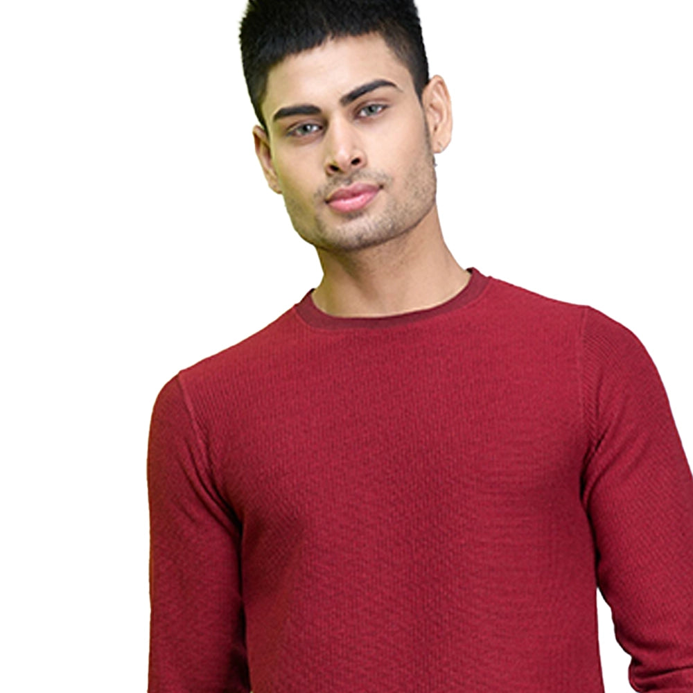 Audiology Men's Full Sleeve T-Shirt (Pack of 5)