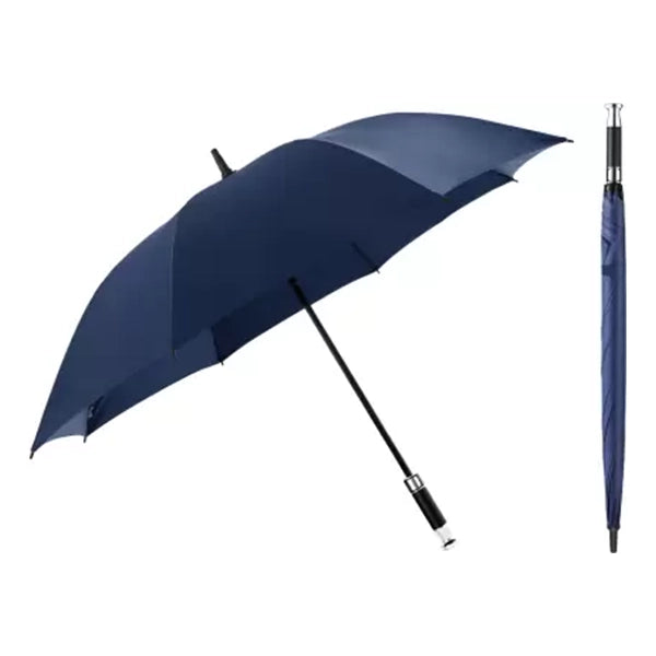 Long Blue Umbrella 1