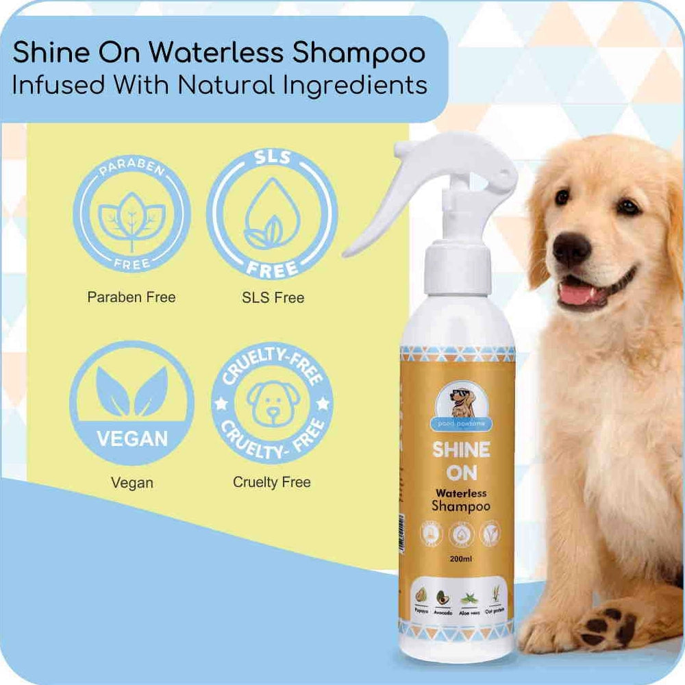 Shine On Waterless Shampoo-2