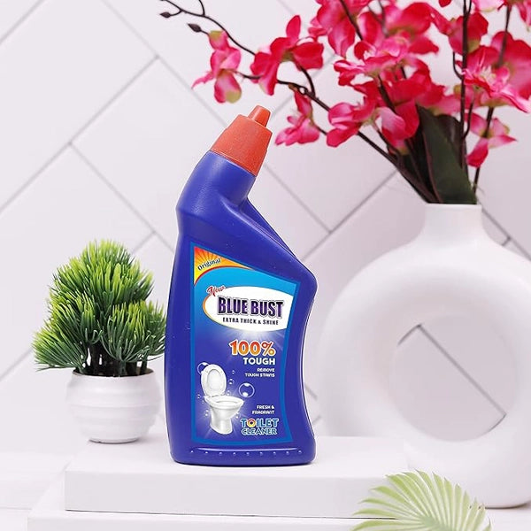 Toilet Cleaner 1 Ltr-3